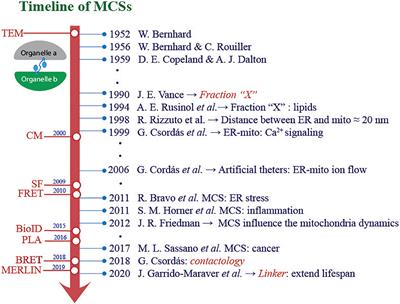 Relevance of <mark class="highlighted">Membrane Contact Sites</mark> in Cancer Progression